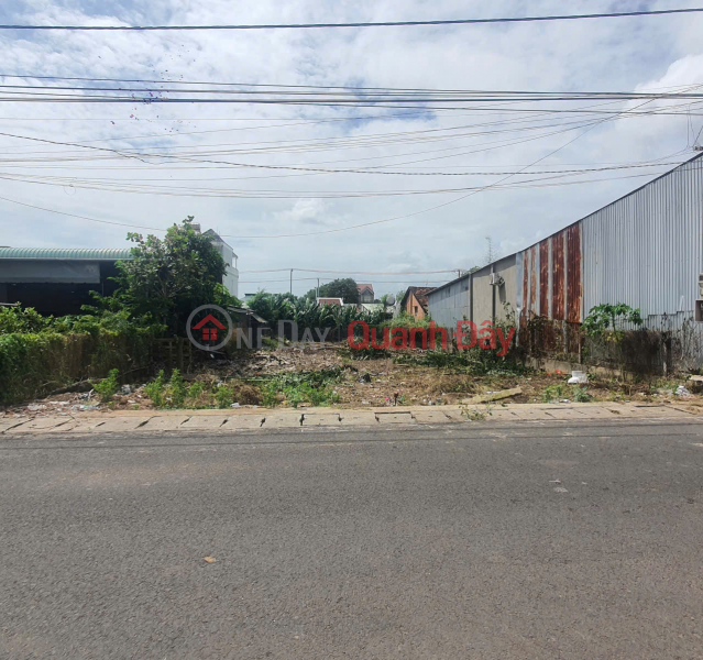 Property Search Vietnam | OneDay | Residential | Sales Listings | BEAUTIFUL LAND - FRONTAGE - Owner Needs to Quickly Sell Land Lot in Ho Tram Commune, HCMC (Old Phuoc Tan, Xuyen Moc, BRVT)