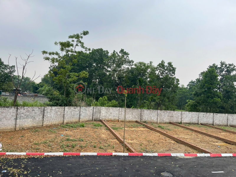 đ 2,6 tỷ, Đất nền Láng Hòa Lạc 100m2 giá 2.6 tỷ – hạ tầng hoàn thiện, xây dựng tự do Nguyễn Hùng BĐS - 0989333012