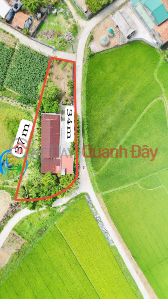 ĐẤT VƯỜN GÓC HIẾM TỊNH KHÊ – 550M² – THỔ CƯ SẴN – GIÁ TỐT CHỈ 1.8 TỶ Niêm yết bán