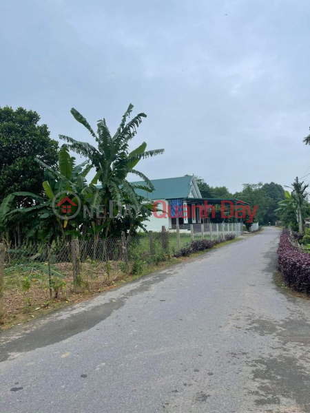 Property Search Vietnam | OneDay | Residential Sales Listings OWNER FOR SALE Land Plot Location At Lam Lang 2, Cam Thuy Commune, Cam Lo District, Quang Tri
