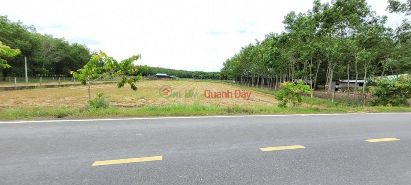 Land plot for sale with good location Sales Listings (Phu-9513179156)