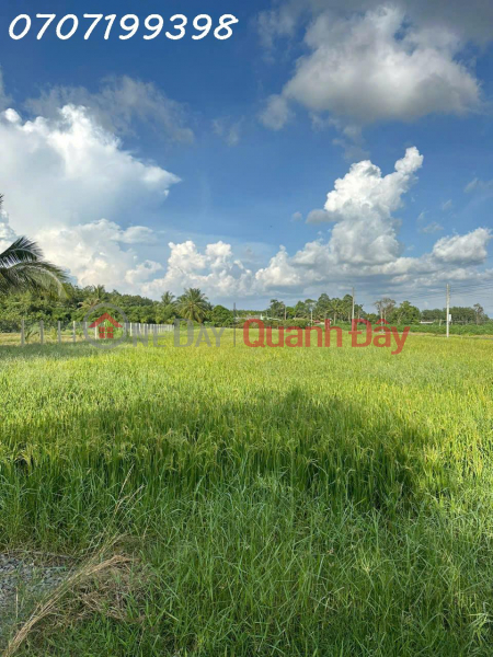 Property Search Vietnam | OneDay | Residential, Sales Listings, Owner needs to sell 4,000m2 of rice land in Tri Binh, Chau Thanh, Tay Ninh