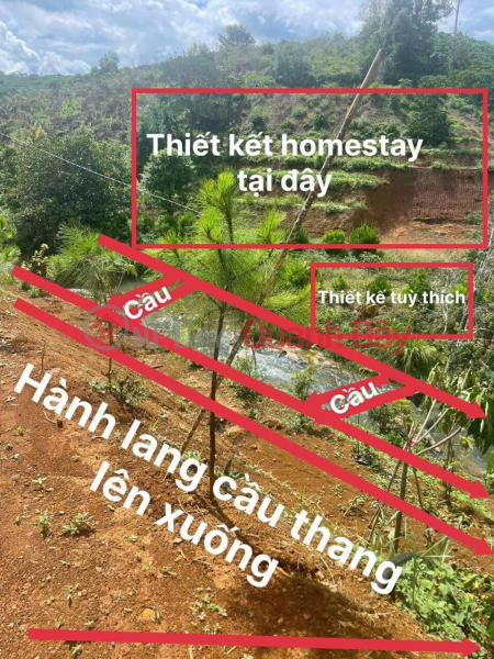 Property Search Vietnam | OneDay | Residential, Sales Listings BEAUTIFUL LAND - GOOD PRICE - Land Lot For Sale In Loc Lam Commune, Bao Lam District, Lam Dong