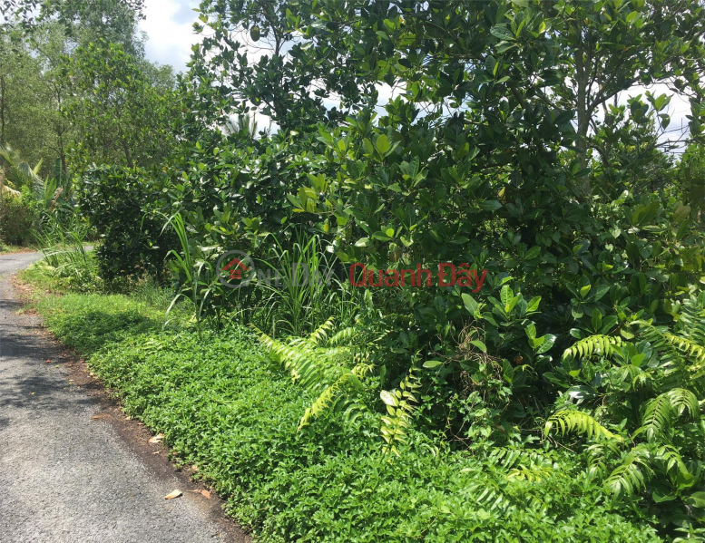 đ 720 Million | BEAUTIFUL LAND - GOOD PRICE - ORIGINAL SELLING QUICKLY POT FULL RESIDENCE In Mang Thit District, Vinh Long