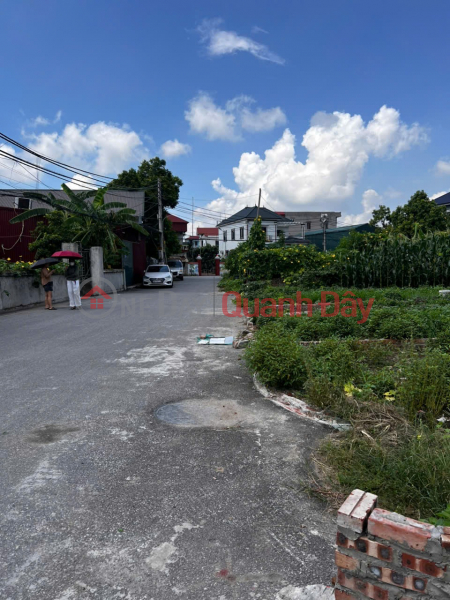 Land for sale in Gia Binh, Bac Ninh. 82m2 * frontage 5m * 2.65 billion. Cars can avoid, for business Sales Listings