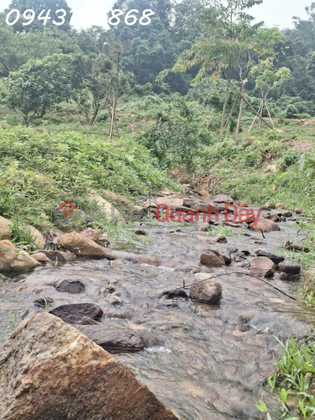 Siêu phẩm đất nghỉ dưỡng tại Hòa Sơn, Lương Sơn, Hòa Bình cơ hội đầu tư không thể bỏ lỡ Niêm yết bán