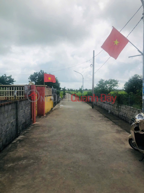 ĐẤT CHÍNH CHỦ - MẶT TIỀN ĐƯỜNG TDP Đông Tiến, Thị Trấn Giao Thủy, Huyện Giao Thủy, Tỉnh Nam Định _0