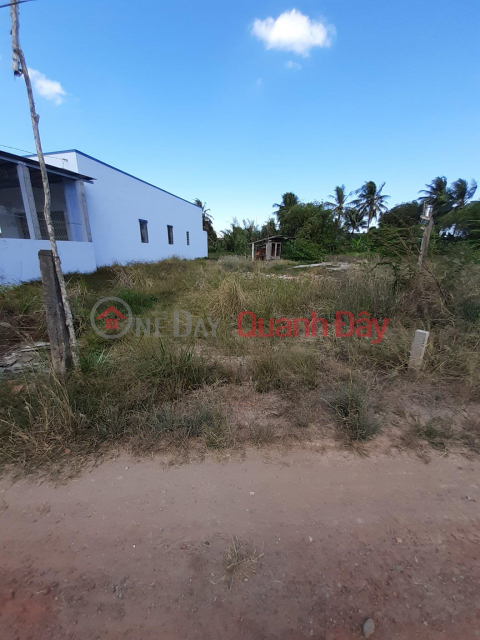 HOT HOT TO OWN A BEAUTIFUL LOT OF LAND - GOOD PRICE In Chau Thanh district, Long An _0