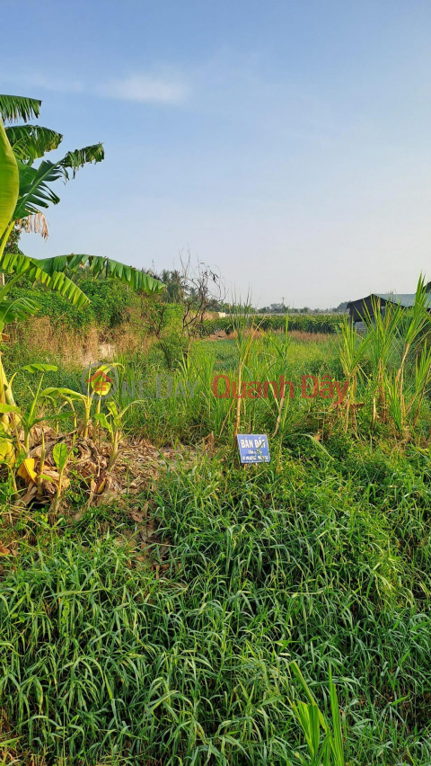 OWNER Sells Land Prime Location In Luc Long, Chau Thanh, Long An _0