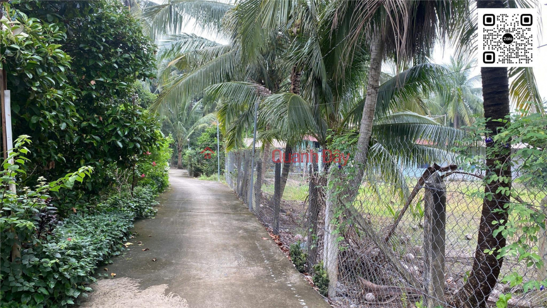 Property Search Vietnam | OneDay | Residential | Sales Listings, An Son land 500m², 3.5m concrete road, car access to the site