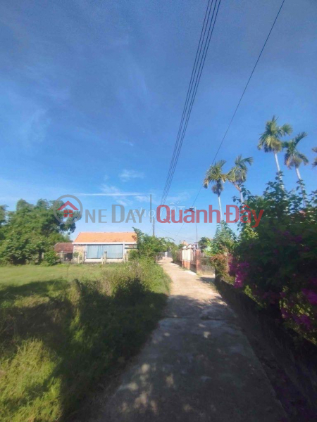 Beautiful Land - Good Price - Owner Sells Land Plot Quickly at Tu Ngoc, Binh Tu, Thang Binh District, Quang Nam Vietnam, Sales | đ 1.25 Billion