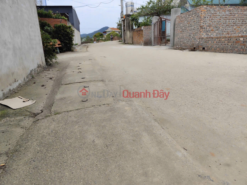 Property Search Vietnam | OneDay | Residential | Sales Listings Need to liquidate land lot in Thanh Son village, Minh Phu, Soc Son, Hanoi