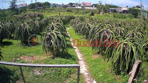 PRIME LAND FOR SALE - GREAT PRICE - URGENT SALE OF A PLOT OF LAND IN A STREET LOCATION IN HAM THUAN NAM, BINH THUAN PROVINCE _0