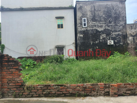 Urgent sale of land plot 57m, 5M street, full residential area in Luong Quy, Xuan Don, Dong Anh, Hanoi _0