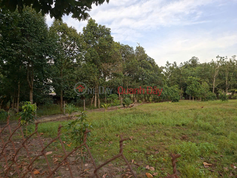 đ 12 tỷ | Bán gấp đất tại mặt tiền đường Phú Thuận- xã An Nhơn Tây ( trước là Phú Mỹ Hưng, Củ Chi),Hồ Chí Minh