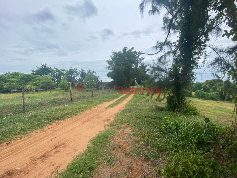 Property Search Vietnam | OneDay | Residential, Sales Listings, BEAUTIFUL LAND - GOOD PRICE - For Quick Sale Land Lot Prime Location In Phu Quy District