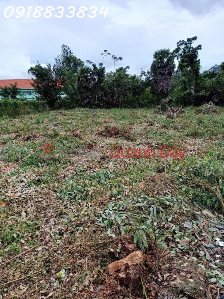 Bán đất đường QL91, Phường Tịnh Biên, Thị Xã Tịnh Biên, An Giang Việt Nam | Bán đ 10 tỷ