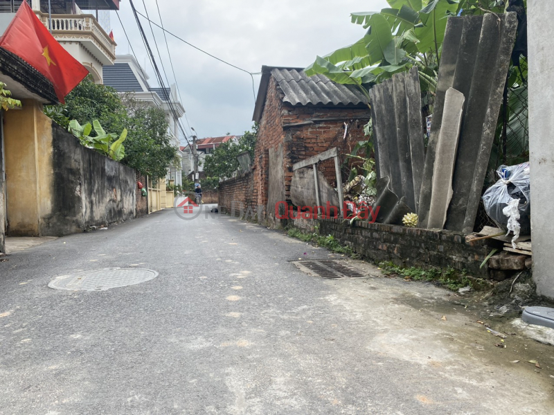 đ 4.2 Billion, Selling land, ceremony, Tien Duong, Dong Anh, road open to trucks