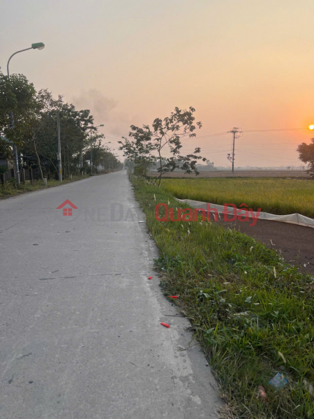 đ 3 Billion Quickly own a large farm in Phu Xuyen Town, Phu Xuyen District, Hanoi City