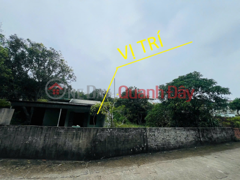 Land for sale in Co To town, Quang Ninh province, 781.4m2, fully residential land, suitable for building a homestay or resort. _0
