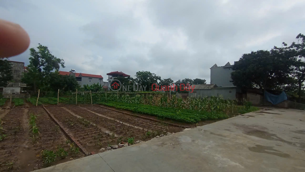 BÁN ĐẤT LƯƠNG TÀI, BẮC NINH. 90M2 * MT 5M * 1,88 TỶ. Ô TÔ TRÁNH,, Việt Nam Bán | đ 1,88 tỷ