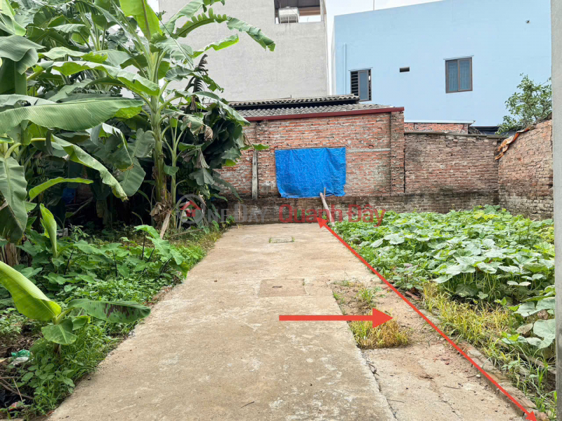 Property Search Vietnam | OneDay | Nhà ở Niêm yết bán | Bán 50,5m đất thôn Tráng Việt, xã Tráng Việt, Mê Linh. Đón sóng cầu Thượng Cát