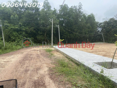 Owner needs to quickly sell a plot of land with full residential land in Hamlet 3, Bau Don Commune, Go Dau District, Tay Ninh _0