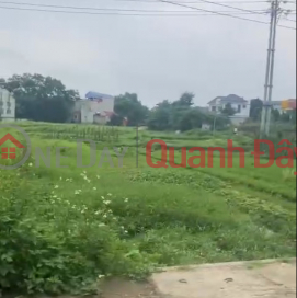 The owner needs to sell a piece of land in Thang town, Hiep Hoa, Bac Giang _0