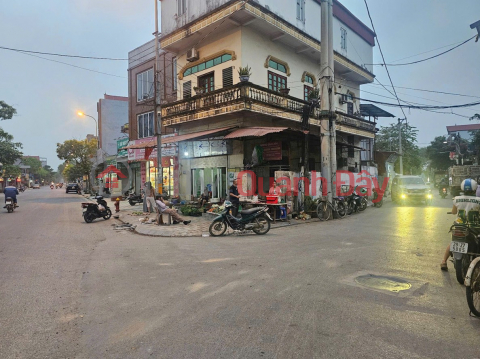 Chính chủ bán lô đất đẹp tại Hà Lâm 2, Thư Lâm, Hà Nội - Mặt tiền 5.2m - Đường thông, ô tô tránh _0