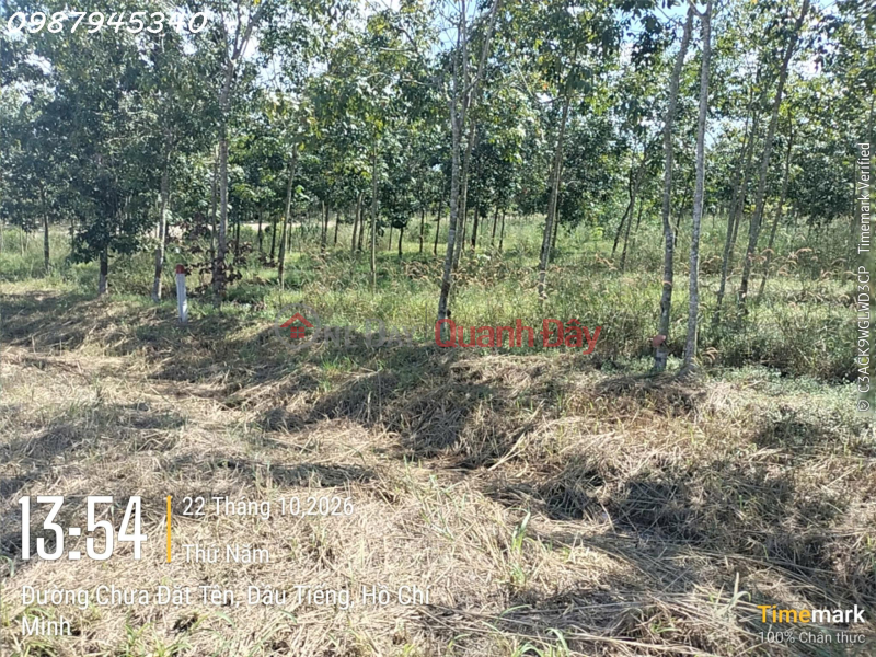 Làm ơn chọn, Nhà ở | Niêm yết bán đ 2,5 tỷ