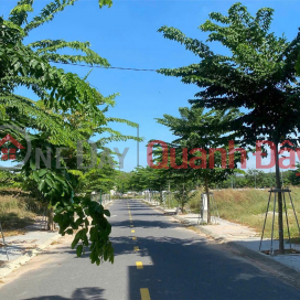 Beautiful land lot in Hoa Loi, near industrial park, shocking price 1.45 billion _0