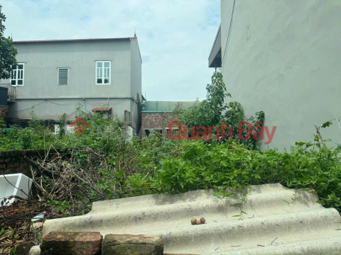 LAND FOR SALE 79.8M2 UY NO DONG ANH - CAR ACCESSIBLE ROAD _0