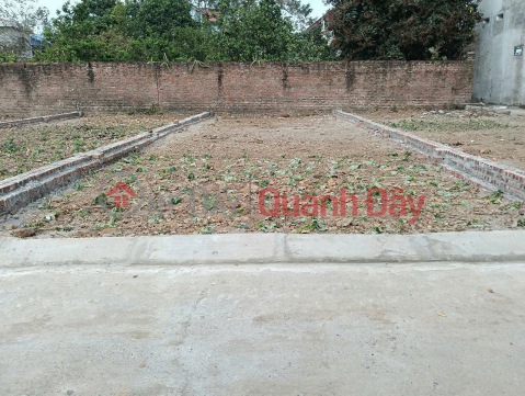 Land for sale in Xuan Le village, Tan Dan, Soc Son. Open road, cars can avoid. Near Hanoi - Lao Cai highway _0