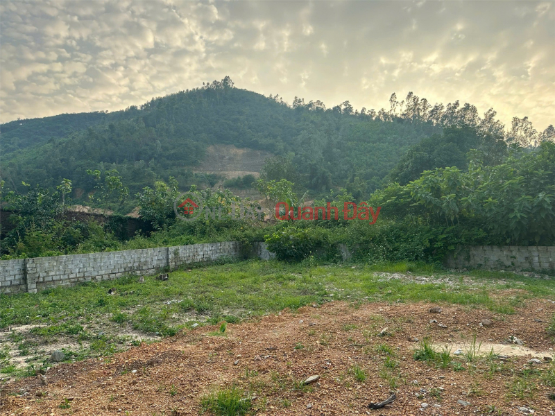 Land for sale near Dong Cham Lake, Dong Xuan Commune, Quoc Oai District, Hanoi (formerly Yen Xuan Commune, Hanoi). Vietnam, Sales, đ 6.9 Billion