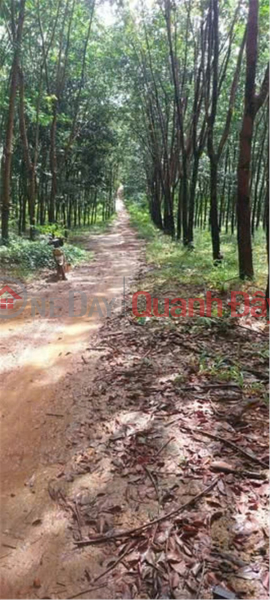  Please Select | Residential, Sales Listings | đ 4 Billion