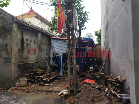 Owner E needs to sell 40m2 Loc Ha Mai Lam street, street, price is about billion _0