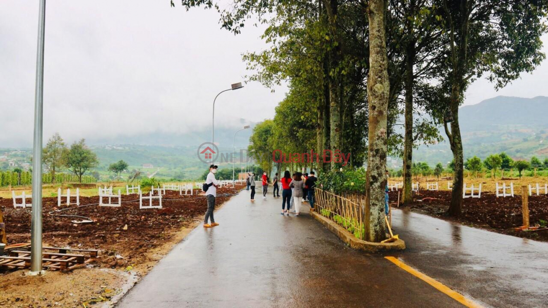 BEAUTIFUL LAND - GOOD PRICE - Owner Needs To Sell Land Lot Next To Da Lat In Dong Thanh Commune, Lam Ha, Vietnam | Sales | đ 2.5 Billion