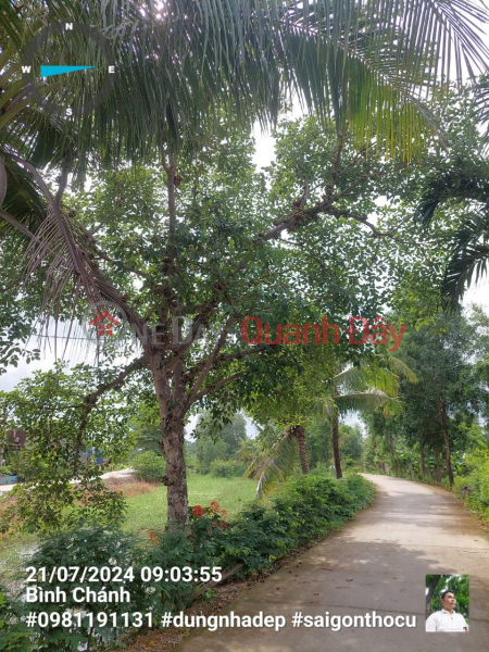 Property Search Vietnam | OneDay | Residential Sales Listings | LAND FOR SALE IN AN PHU TAY, BINH CHANH, HUNG LONG. THUAN DAT MARKET. 480M2 FOR ONLY 2 BILLION VND