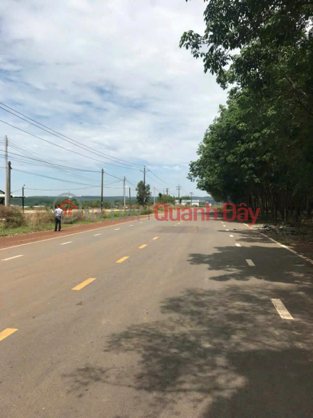 Property Search Vietnam | OneDay | Residential | Sales Listings | OWNER NEEDS TO SELL QUICKLY SUPER BEAUTIFUL LOT - EXTREMELY CHEAP PRICE - In Tan Hoa, Dong Phu, Binh Phuoc