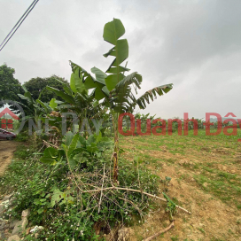 Land for sale in Bot Village - Phu Thanh - Lac Thuy - Hoa Binh Area: 2904m MT: 55m 3.6 billion. _0