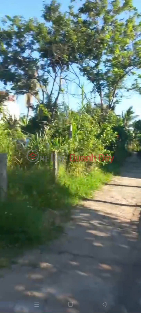 HOT HOT – CHEAP LAND – OWNER NEEDS TO SELL A PLOT OF LAND in Dinh Tan Hamlet, Vinh Thanh Town, Vinh Thanh District, Binh Dinh Province _0