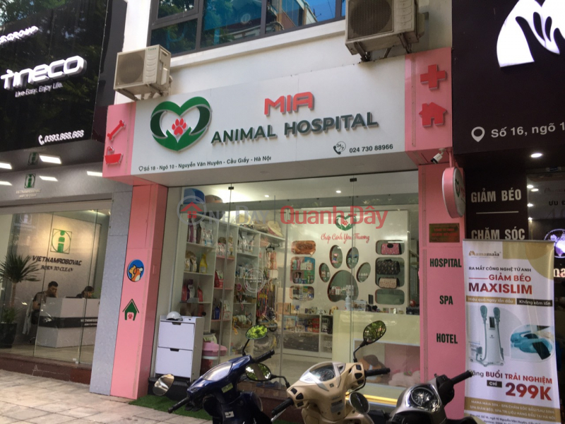 Bệnh viện thú cưng MIA (MIA Animal Hospital) Cầu Giấy | ()(4)