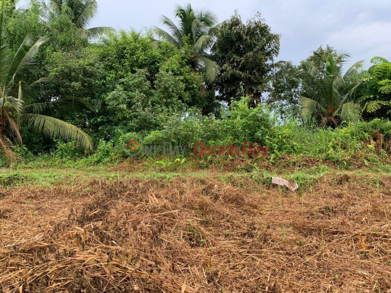 ️ Fragrant goods, only 2 lots left *** at Luong Hoa Ben Luc - Long An, right at Gia Mouth bridge entering Vietnam, Sales đ 2.2 Billion