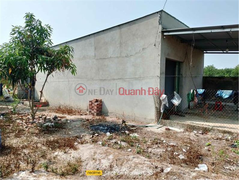 HIGH PRICE - Owner Needs to Sell Residential Land Lot in Tan Hung Commune, Tan Chau - Tay Ninh, Vietnam, Sales, đ 868 Million