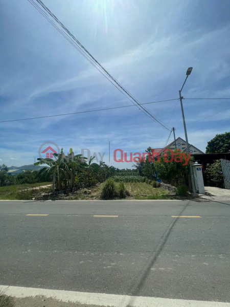 Property Search Vietnam | OneDay | Residential | Sales Listings | Beautiful Residential Land Plot for Sale - Area 509.9m2 in Dien Phuoc Commune, Dien Khanh. Selling Price 10.5 million\\/m2!!