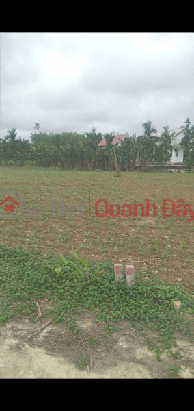 Property Search Vietnam | OneDay | Residential, Sales Listings | PRIME LAND - GREAT PRICE - Owner urgently needs to sell a plot of land in Phong Dien Ward, Hue City.