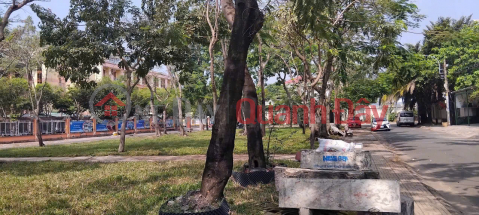 OWNER selling land in a prime location - Facing Road 14B - Binh Tan Ward, Ho Chi Minh City _0