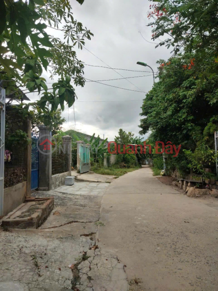 OWNER SELLING SINGLE-STORY HOUSE - PRICE 2.5 BILLION VND in Xuan Ngoc village, Tay Nha Trang ward - Full amenities Sales Listings