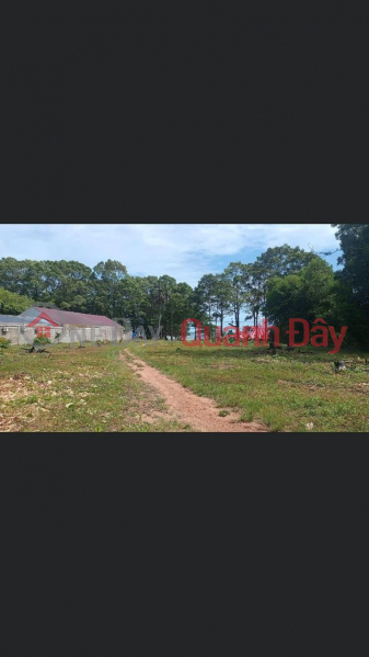 Property Search Vietnam | OneDay | Residential | Sales Listings, BEAUTIFUL LAND - INVESTMENT PRICE - Quick Sale In Binh An, Kien Luong, Kien Giang