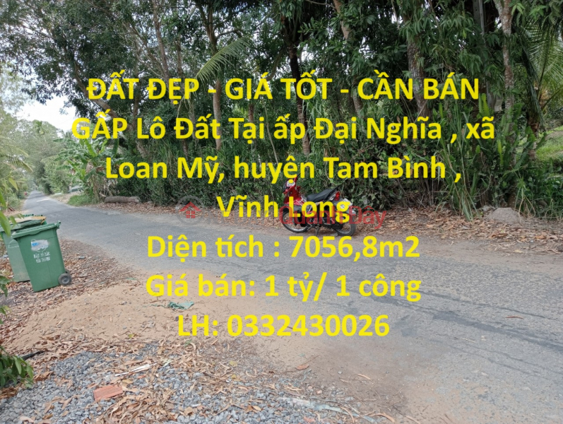 BEAUTIFUL LAND - GOOD PRICE - FOR URGENT SALE Land Plot In Tam Binh District, Vinh Long - Investment Price Sales Listings